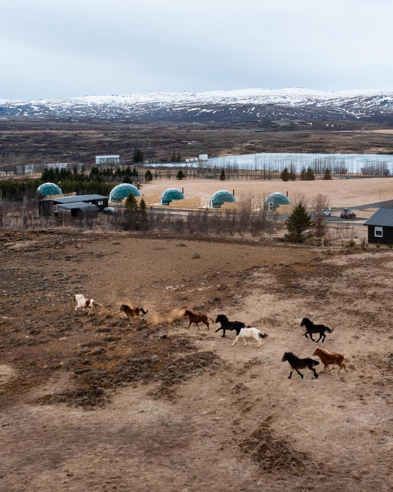 Golden Circle Domes - Lake View Selfoss Buitenkant foto